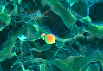 제품 속 숨겨진 이물, SEM으로 밝혀낸 미세구조의 비밀