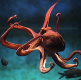 생명체의 미세 세계