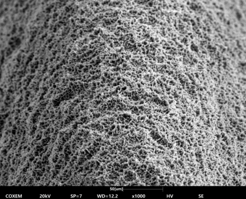 Implant (5)