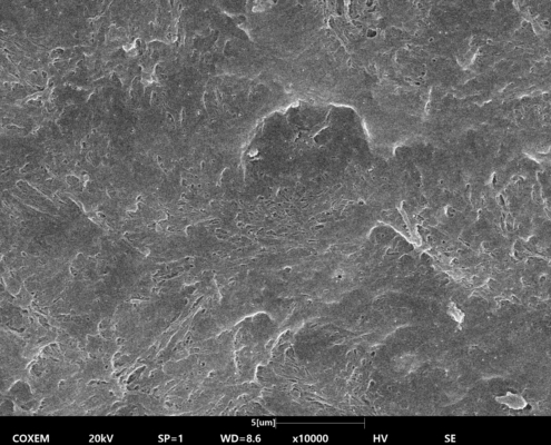 Permernent tooth (21)