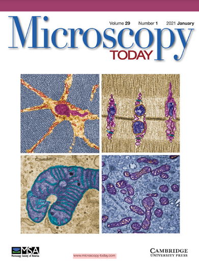 COXEM SEM ad on 'Microscopy Today' Magazine, Jan 2021